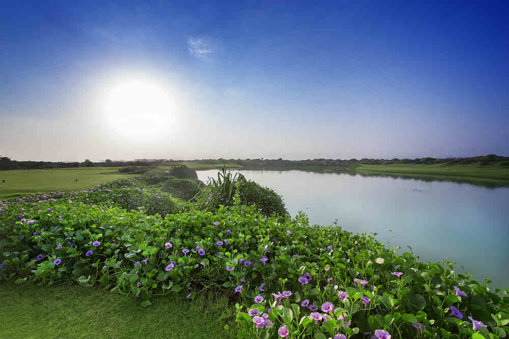 Golf de Muscat Hills avec votre pro