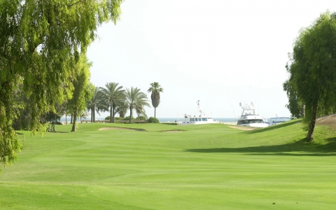 Fairways Jebel Ali golf à Dubai aux Emirats Arabes Unis