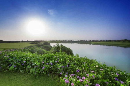 Golf de Muscat Hills avec votre pro